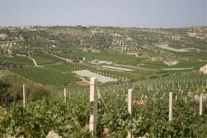 crete-boutari-winery